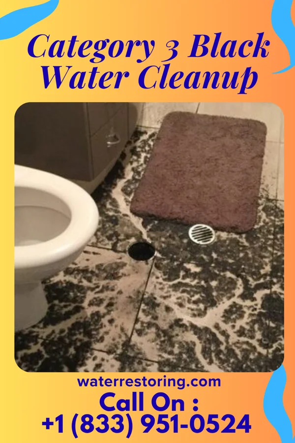 Category 3 Black Water Cleanup in Woonsocket, RI